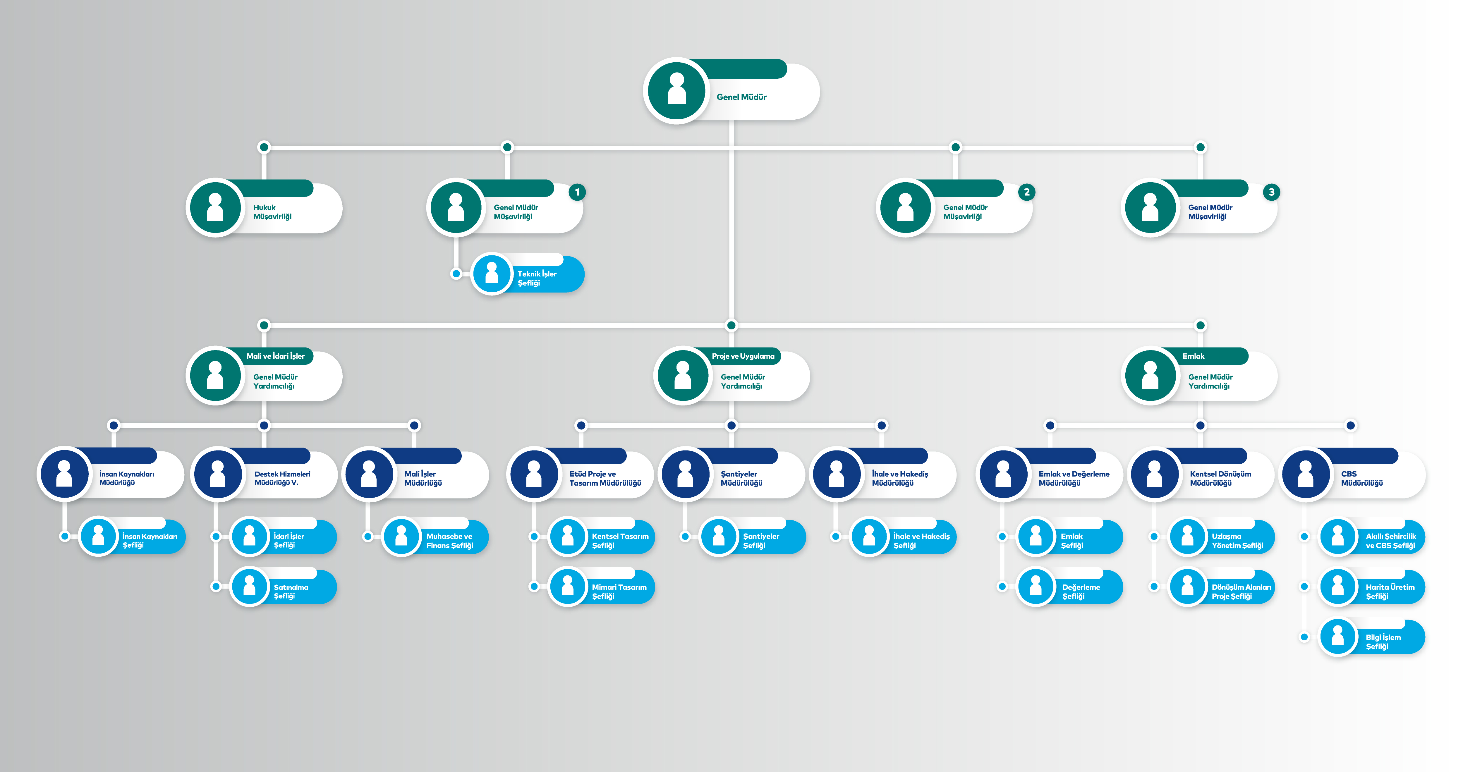 Organizasyon Şeması
