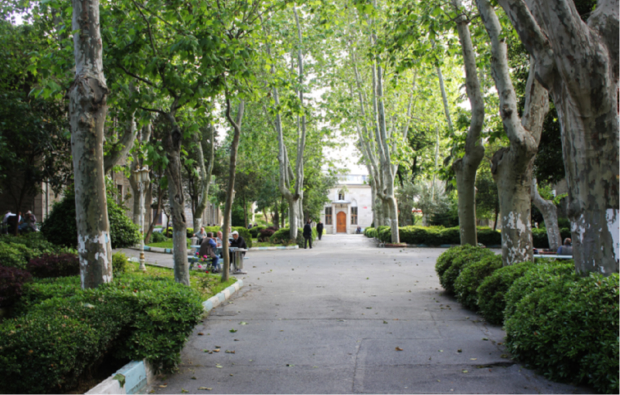 Darüleceze 4. Pavyon Onarımı Galeri 4