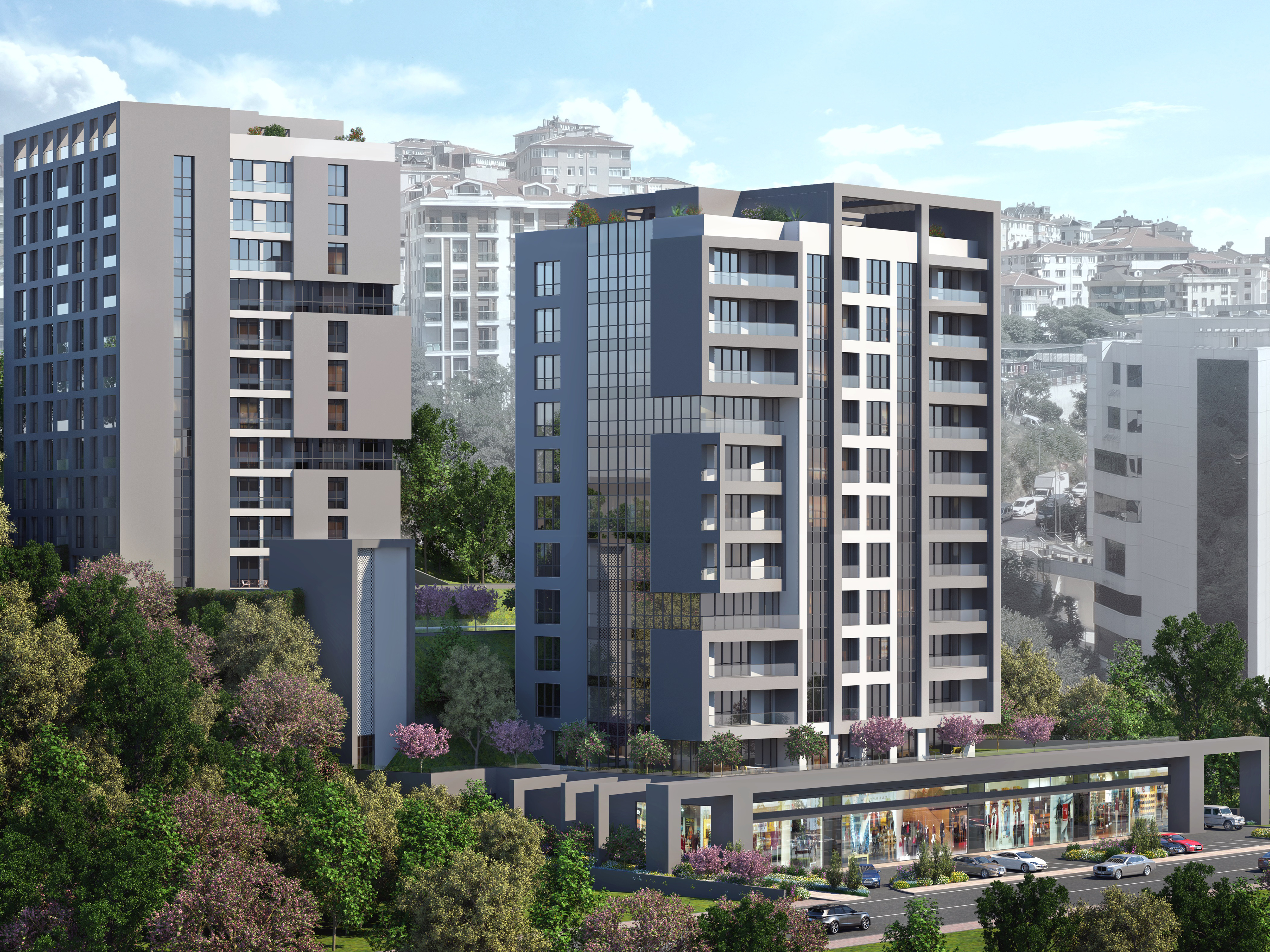 Beşiktaş / Polat Fulya